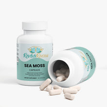RevivaRenew Sea Moss Capsules – Maximum Thyroid & Energy Support