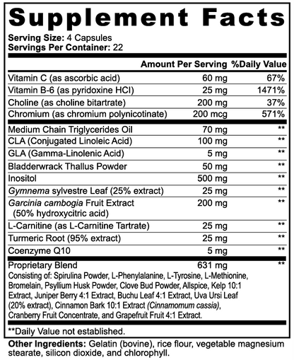 RevivaRenew Fat Burner with MCT – Targeted Thermogenic & Metabolic Support